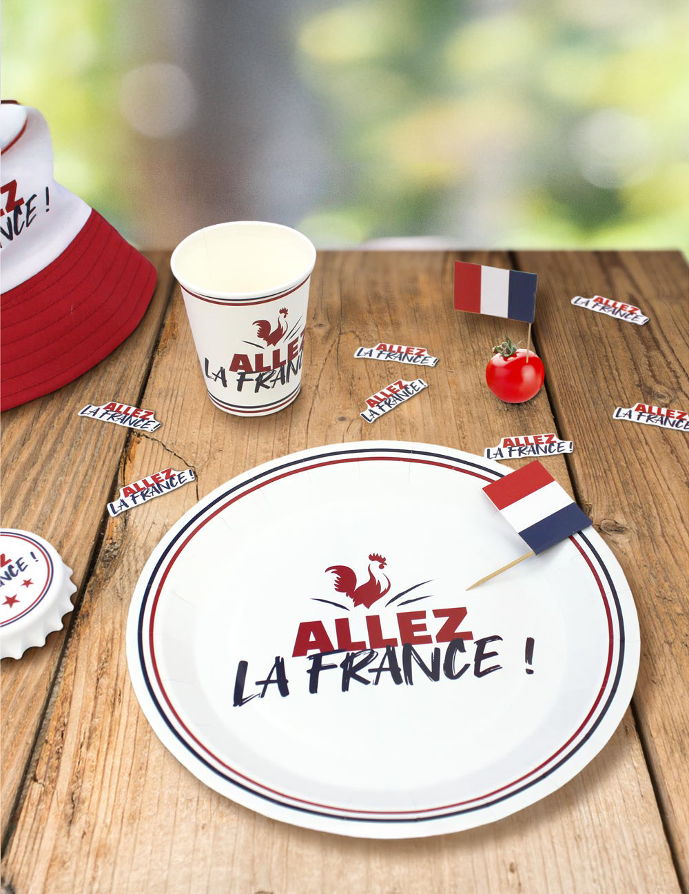 6 kartonlemez "Go France" 23 cm