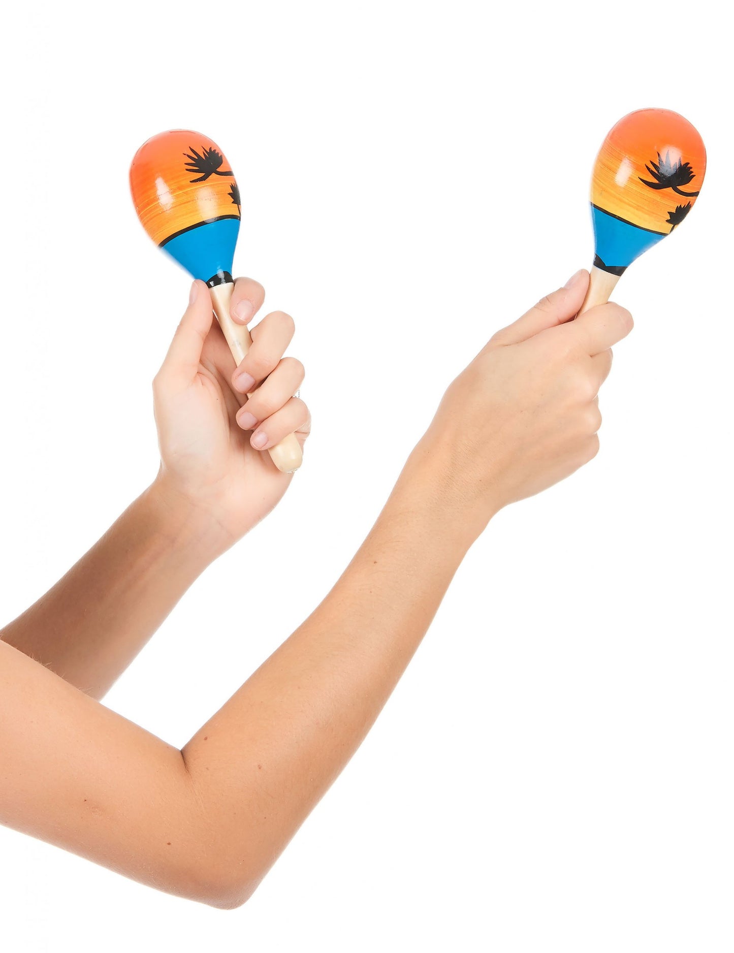 2 fa hawaii maracas