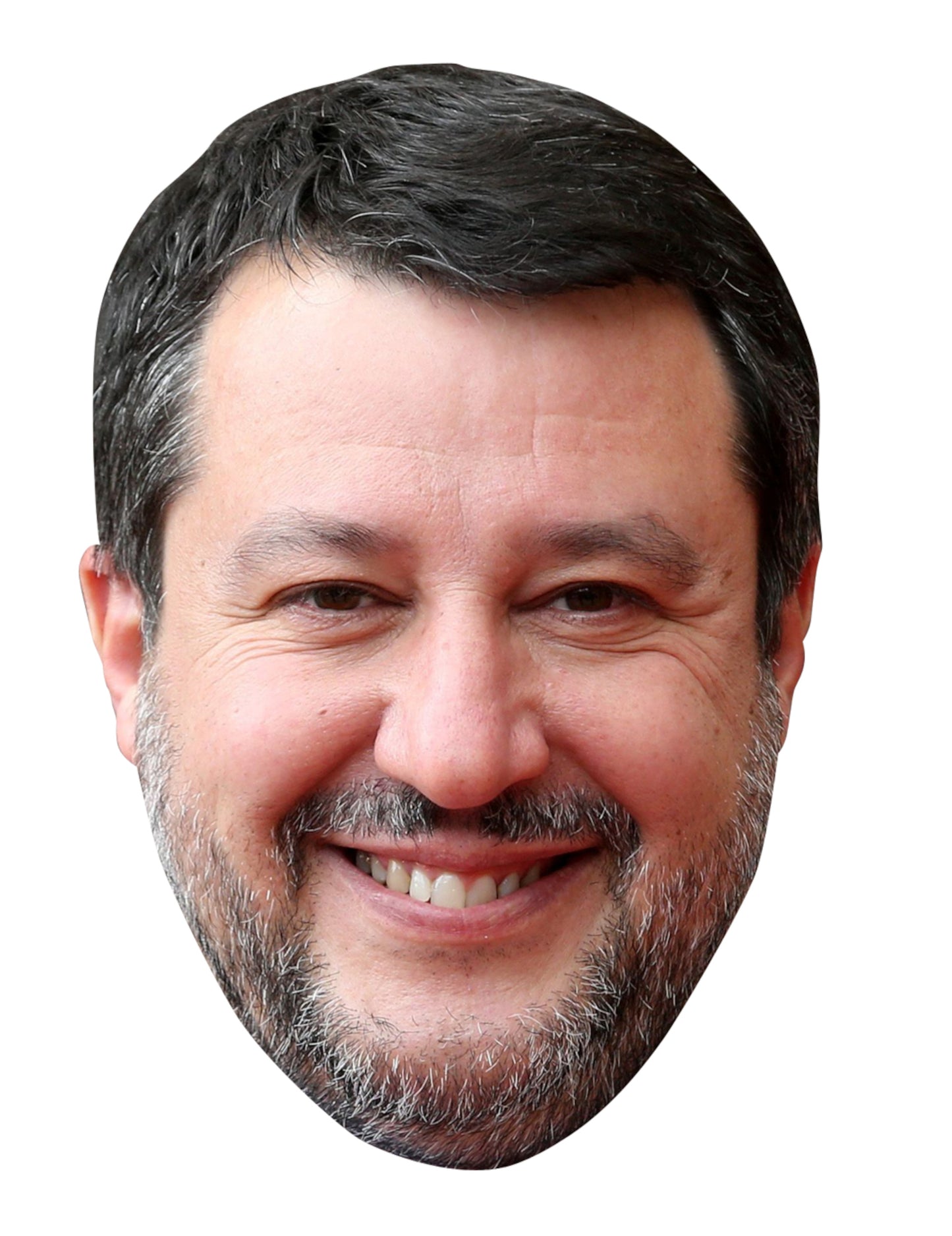 Matteo salvini felnőtt karton maszk